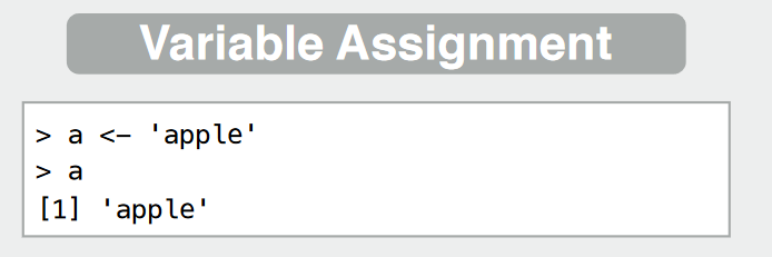 variable assignment r